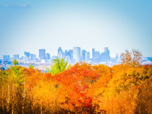 A vibrant autumn landscape with colorful trees in the foreground and a city skyline in the background.
