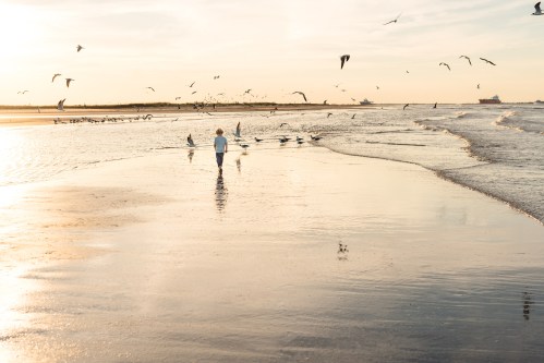 A child walks along a sandy beach at sunset, surrounded by seagulls flying overhead.