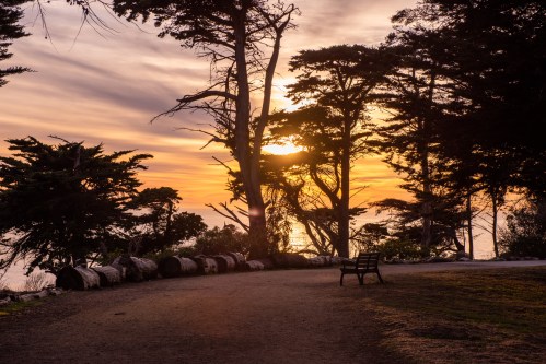 A serene sunset view with a bench along a path, framed by trees and reflecting on the water.