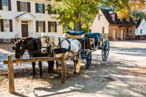 Two horses, one black and one white, are hitched to a carriage near historic buildings with autumn foliage.