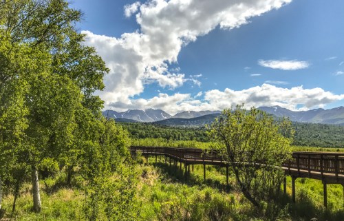 A wooden boardwalk winds through lush greenery, with mountains and a blue sky in the background.