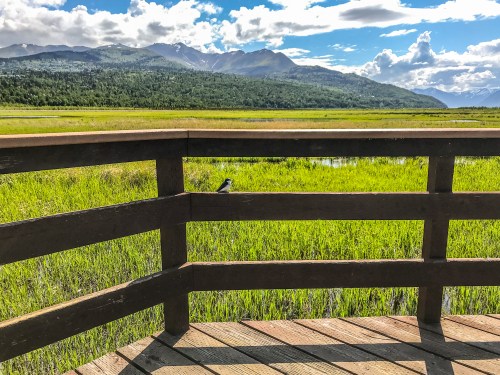 A wooden railing frames a scenic view of green fields and mountains under a partly cloudy sky, with a bird perched nearby.