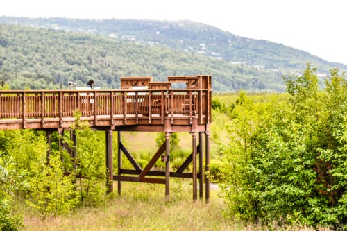 A wooden observation deck overlooks a lush green landscape with distant hills in the background.