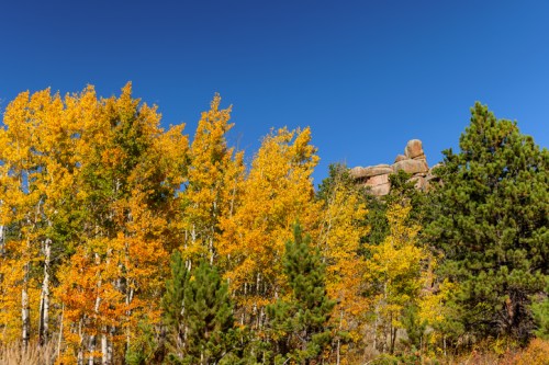 Vibrant autumn trees with yellow leaves against a clear blue sky and rocky formations in the background.