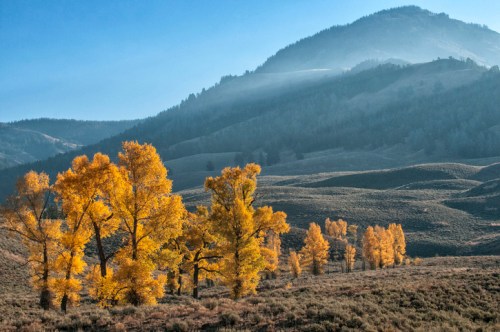 Golden autumn trees stand against misty mountains and rolling hills under a clear blue sky.