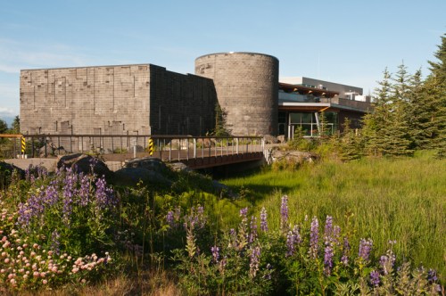 Modern building with stone and wood design, surrounded by greenery and wildflowers, set against a clear blue sky.