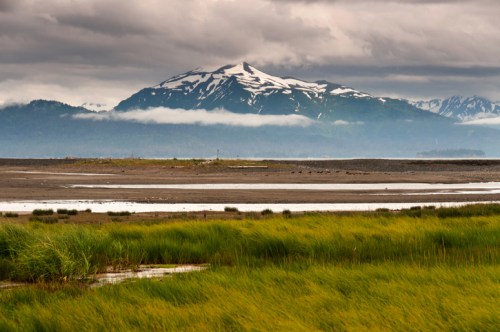 A scenic view of a snow-capped mountain surrounded by clouds, with grassy wetlands in the foreground.