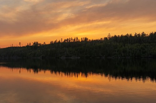 Sunset over a calm lake, reflecting vibrant orange and yellow hues against a silhouette of trees on the shore.