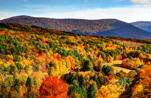 Vibrant autumn landscape with colorful trees and rolling hills under a clear blue sky.