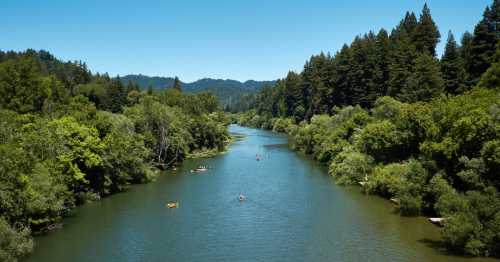 A serene river flows through lush greenery, with kayakers enjoying the calm waters under a clear blue sky.