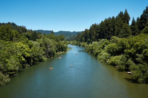 A serene river flows through lush greenery, with kayakers paddling under a clear blue sky.