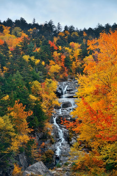 A vibrant waterfall cascades down rocky terrain, surrounded by colorful autumn foliage in shades of orange and yellow.