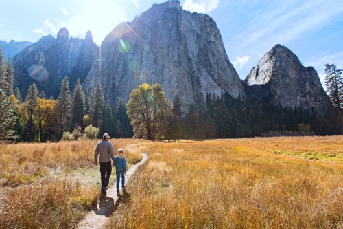 A person and a child walk along a path in a golden meadow, surrounded by towering mountains and trees under a bright sky.