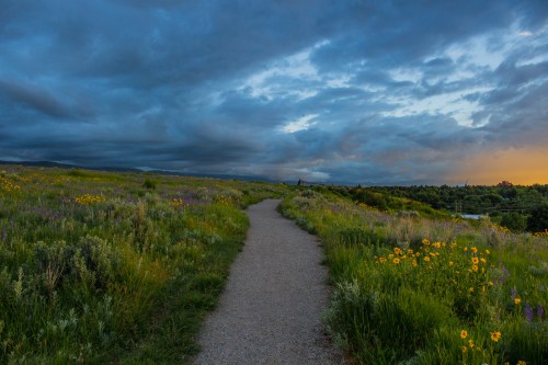 A winding gravel path through a vibrant field of wildflowers under a dramatic sky at sunset.