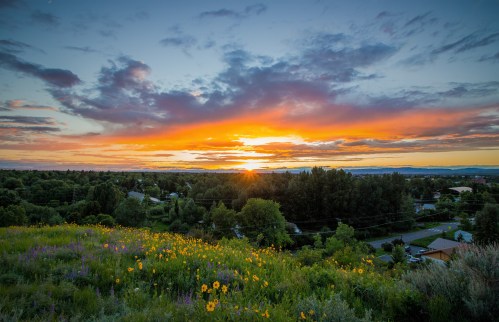 A vibrant sunset over a lush landscape, with colorful flowers in the foreground and a serene sky filled with clouds.