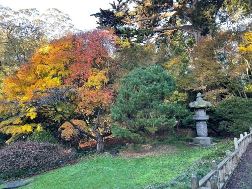 A serene garden scene featuring vibrant autumn foliage, a green tree, and a stone lantern amidst lush greenery.