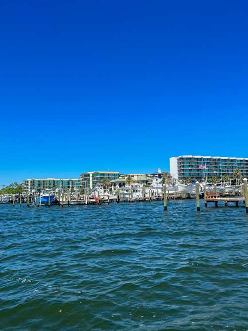 A clear blue sky above a marina with boats and waterfront buildings along the shore.
