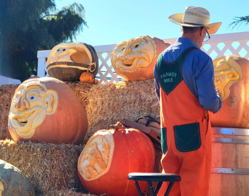A man in an orange apron carves faces into pumpkins on a haystack, with several carved pumpkins displayed behind him.