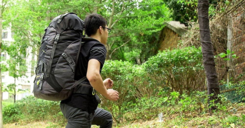 A person with a large backpack is walking up a path surrounded by greenery.