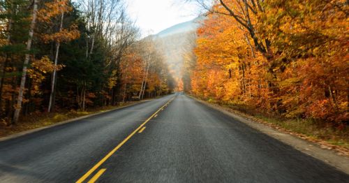 A vibrant autumn landscape with colorful trees and a road going through the center.