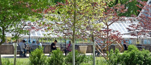 People sitting at outdoor tables surrounded by greenery and trees, with a greenhouse in the background.