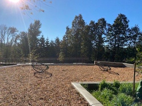A sunny outdoor space with wooden structures and trees, featuring two circular sculptures on a mulch-covered area.