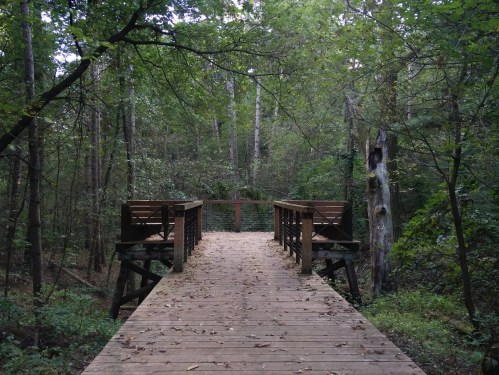 A wooden bridge leads into a lush, green forest, surrounded by trees and foliage.