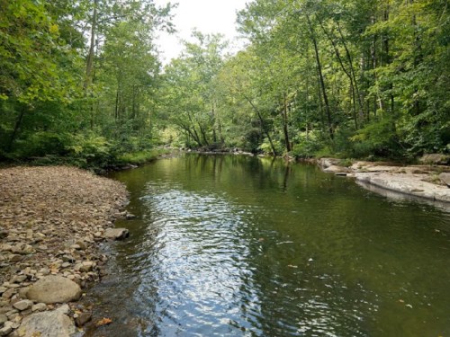 A serene river flows through a lush green forest, with rocky banks and trees reflecting in the calm water.