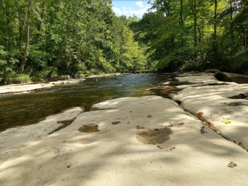 A serene river flows over smooth rocks, surrounded by lush green trees under a clear blue sky.