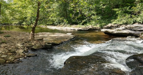 A serene river flows over rocks, surrounded by lush green trees and a peaceful natural landscape.