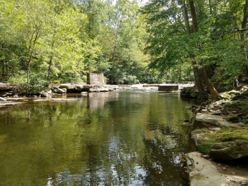A serene river flows through a lush green forest, with rocks and trees lining the banks under a clear blue sky.