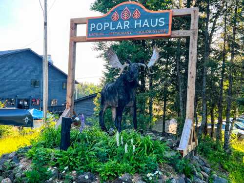 Sign for Poplar Haus featuring a moose statue, surrounded by greenery and flowers, with buildings in the background.