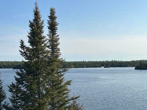 A serene lake surrounded by lush green trees under a clear blue sky.