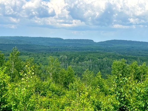 Lush green forest landscape with rolling hills under a partly cloudy sky.
