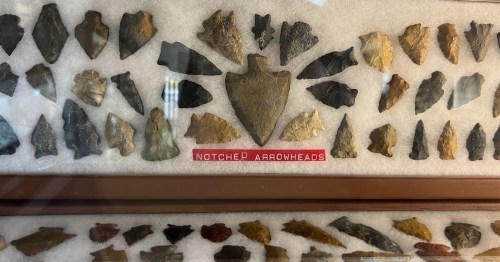 Display of various notched arrowheads arranged in a glass case, showcasing different shapes and colors.