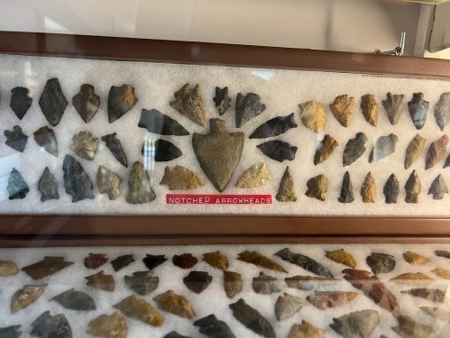 A display case featuring various arrowheads arranged in a fan pattern, labeled "Notched Arrowheads."
