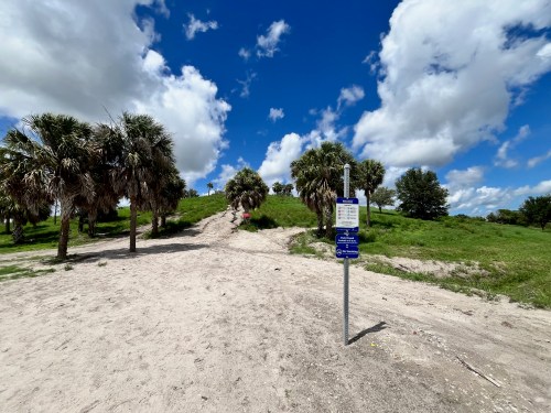 A sandy path leads up a grassy hill, lined with palm trees under a bright blue sky with fluffy clouds.