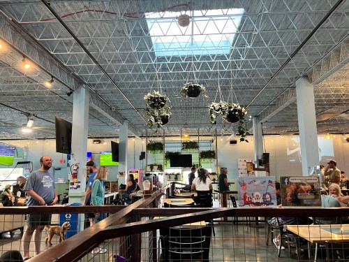 A spacious restaurant interior with people dining, plants hanging from the ceiling, and multiple screens displaying sports.
