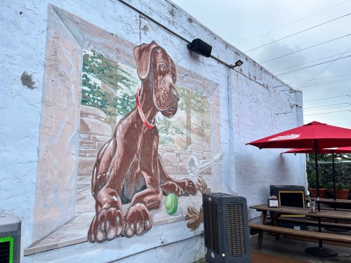 A mural of a large brown dog sitting by a window, with a tennis ball and pine cones nearby, on an outdoor wall.