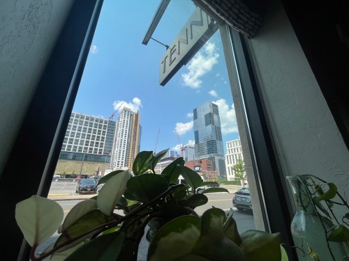 View from a window featuring city buildings, a sign reading "TENN," and green plants in the foreground.