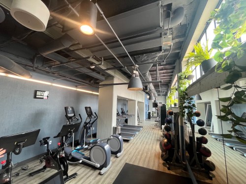 A modern gym interior featuring exercise machines, treadmills, and plants along the walls. Bright and spacious atmosphere.