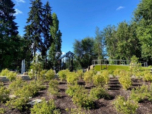 A sunny park scene featuring greenery, trees, and a playground structure in the background.