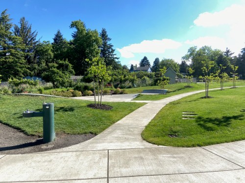 A sunny park scene featuring a winding pathway, green grass, young trees, and a blue sky with scattered clouds.
