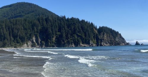 A serene beach scene with gentle waves, a forested hillside, and clear blue skies in the background.
