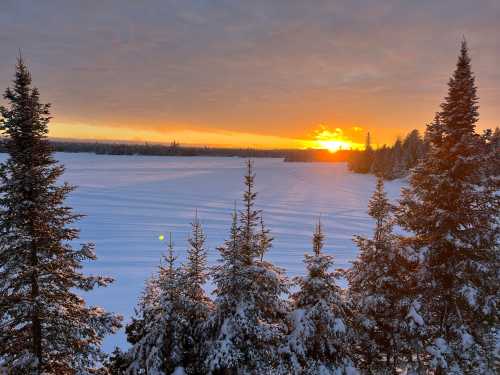 A serene winter landscape with snow-covered trees and a sunset over a frozen lake.