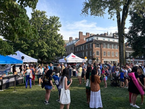 A lively outdoor event with crowds gathered around tents, trees, and historic buildings under a clear blue sky.
