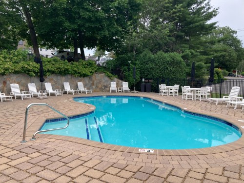 A clear swimming pool surrounded by lounge chairs and greenery, with a stone wall in the background.