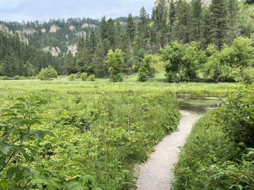 A winding path through lush greenery leads to a serene, wooded area with mountains in the background.