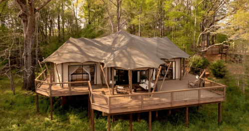 A spacious tent cabin on a wooden deck, surrounded by lush greenery and trees.