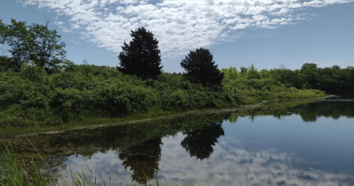 A serene landscape featuring a calm pond reflecting trees and clouds under a clear blue sky.